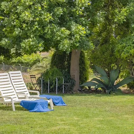 Cubo's El Oasis De Don Pedro *